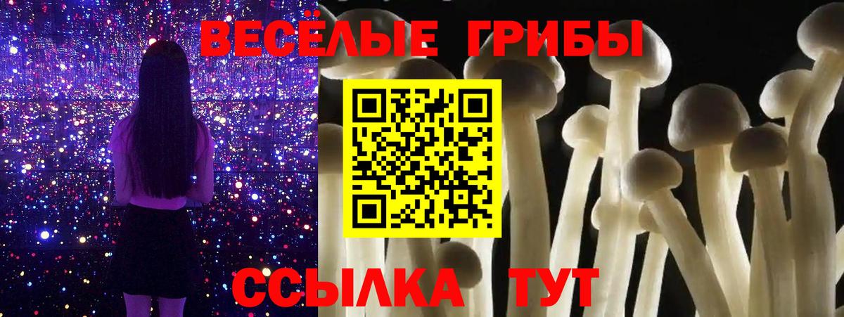 Галлюциногенные грибы MAGIC MUSHROOMS Ступино