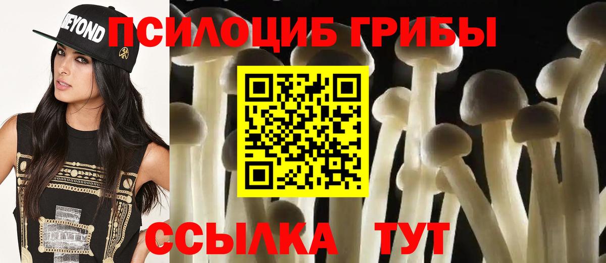 Ступино  Галлюциногенные грибы ЛСД  Вход с VPN 